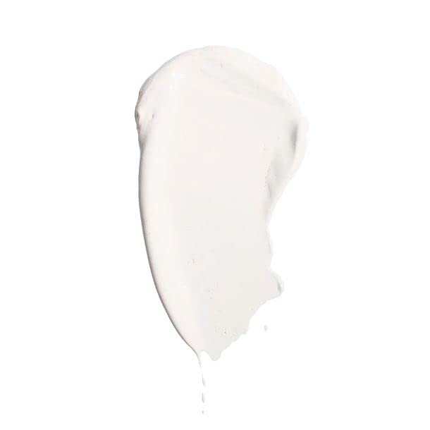 Jerome Alexander My Color Self Adjusting Full Coverage Foundation Makeup with Kabuki Brush (Light)-VivaGrace Women