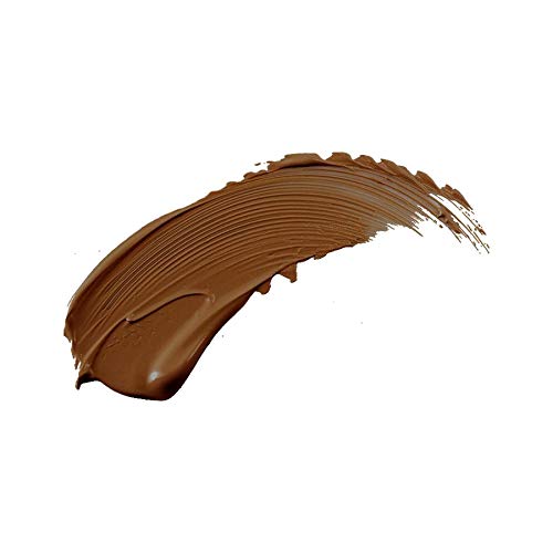 Perfection Multi-Use Concealer (COLOR - EBONY FCPF12)-VivaGrace Women