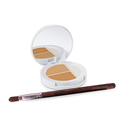 Sheer Cover Studio – Conceal and Brighten Highlight Trio – Two-Toned Concealers – Shimmering Highlighter – Medium/Tan Shade – With FREE Concealer Brush – 3 Grams-VivaGrace Women