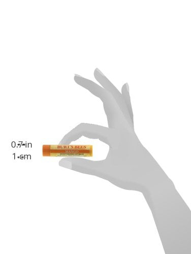 Burt's Bees Lip Balm - Mango, Lip Moisturizer With Responsibly Sourced Beeswax, Tint-Free, Natural Origin Conditioning Lip Treatment, 2 Tubes, 0.15 oz.-VivaGrace Women