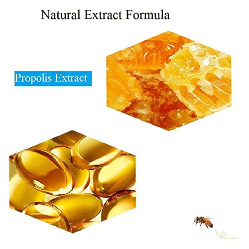 2PCS Lip Balm Honey Pot,Honey & Strawberry Lip Balm, Propolis Moisturizing Honey Lip Mask Lip Balm, Hydrating & Prevention Dry and Cracked Lip Scrubs Exfoliator-VivaGrace Women