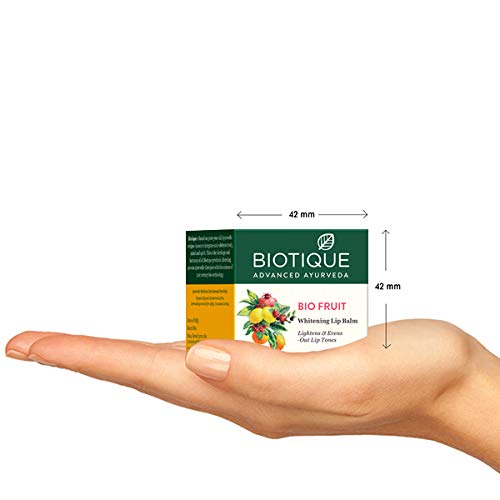 Biotique Bio Fruit Lip Balm, 12 gm-VivaGrace Women