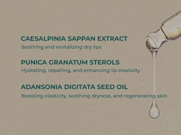 INNA ORGANIC Tinted Lip Serum, Moisturizing, Healing, Light Rosy color, 100% vegan, EWG & COSMOS Certified| Rose Geranium Essential Oils Infused Skincare | Luxury Clean Beauty-VivaGrace Women