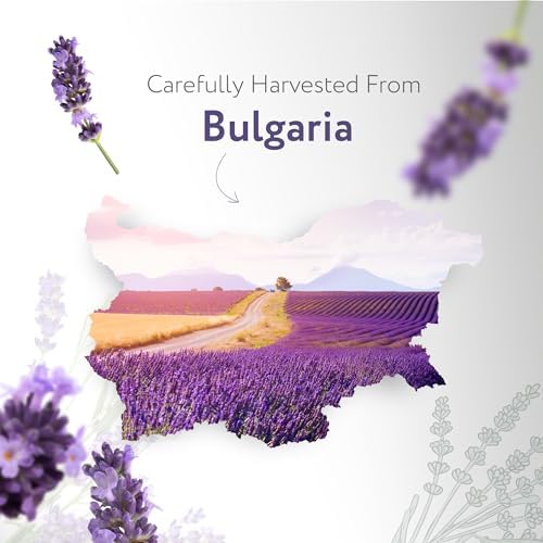 HBNO California Bottled Organic Lavender Essential Oil 1 fl oz (30ml) - USDA Certified Organic Lavender Oil for Skin, Perfect for Cleaning, Aromatherapy, DIY & Diffuser-VivaGrace Women