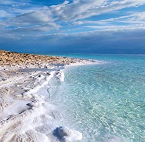 Natural Elephant Dead Sea Bath Salt |19 Pounds Bulk Bag | 100% Natural and Pure| Fine Grain | Perfect for Bathing and Soothing Soaks-VivaGrace Women