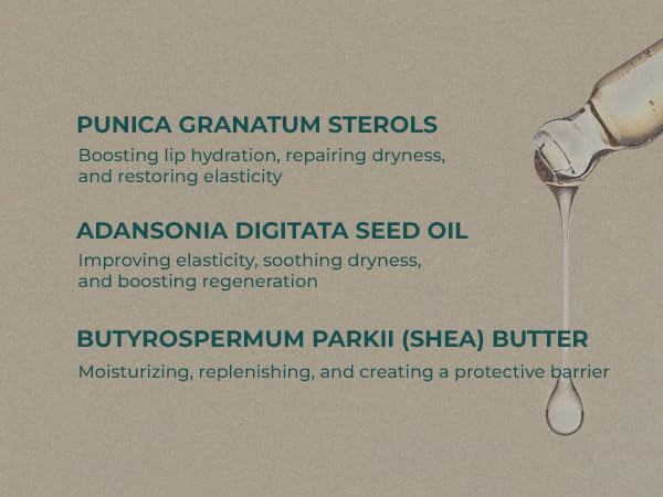 INNA Organic Lip Serum, Moisturizing, Fine Line Care & 100% Vegan, EWG & COSMOS Certified | Frankincense Essential Oils Infused Skin Care | Luxury Clean Beauty-VivaGrace Women