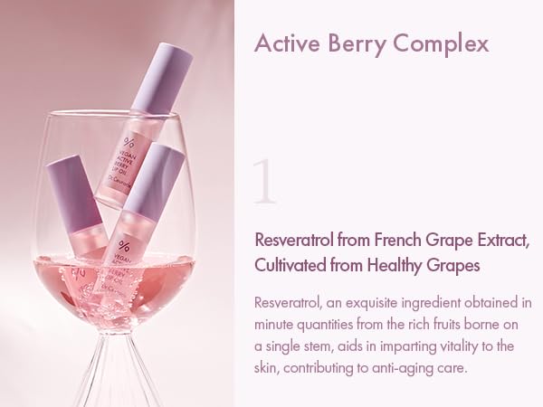 leegeehaam Dr.Ceuracle Vegan Active Berry Lip OilㅣAnti-Aging, Moisturizing, Revitalizing and GlowingㅣKorean Tinted Lip GlossㅣResveratrol from French Grape for Dry Lips, 0.15 Fl Oz-VivaGrace Women