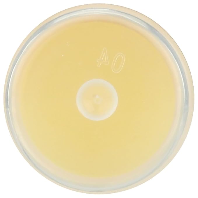 LIP BALM Mongo Kiss 6-Pack (6 tubes) Vanilla Honey by Eco Lips 100% Organic Beeswax & Cocoa Butter Lip Care with Organic Mongongo Oil - Soothe & Moisturize Dry and Cracked Lips - Made in USA-VivaGrace Women