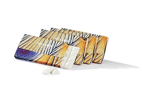 Daily Moisturizing Collection, Activator with Brightening Vitamin C+ Concentrate Starter, Hydrates & Brightens Face, Skin Care Rountine, For All Skin Type, Gift Bundle / Starter Kit-VivaGrace Women