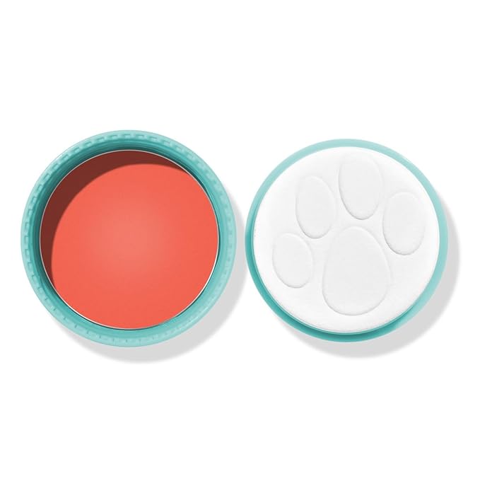 wet n wild Scooby Doo Collection Puppy Power! Cream Blush - It's Paw-ty Time-VivaGrace Women