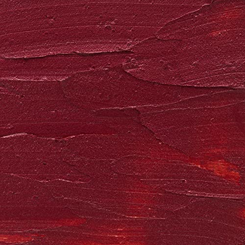 Moroccan Magic Plum Berry Tinted Lip Balm | Made with Natural Cold Pressed Argan and Essential Oils | Lip Balm | Smooth Application | Non-Toxic, Cruelty Free | 2 Pack-VivaGrace Women