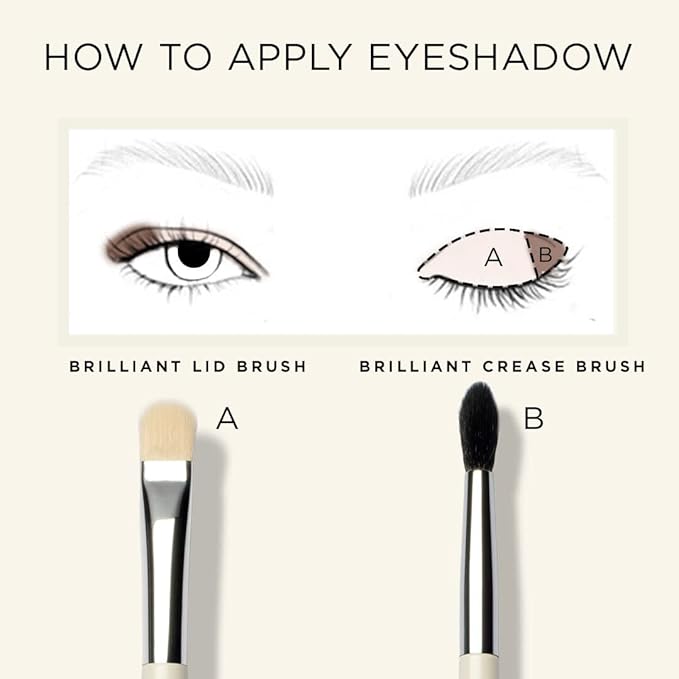 HALEYS Crease Eyeshadow Brush, Medium Fluffy Tapered Brush, Soft, Easy Blending Makeup Tool, Seamless, Multi-tasking Makeup Brush for Cream and Powder, High-end Synthetic Bristles, Vegan + CF-VivaGrace Women