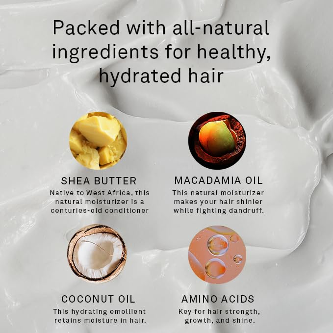 Hawthorne Frizz Fighter Shampoo for Curly Hair with Shea Butter, Macadamia, and Coconut Oil. Hydrate Hair and Tame Frizz. Sulfate Free, Paraben Free. 8 Fl. Oz. 2-Pack.-VivaGrace Women