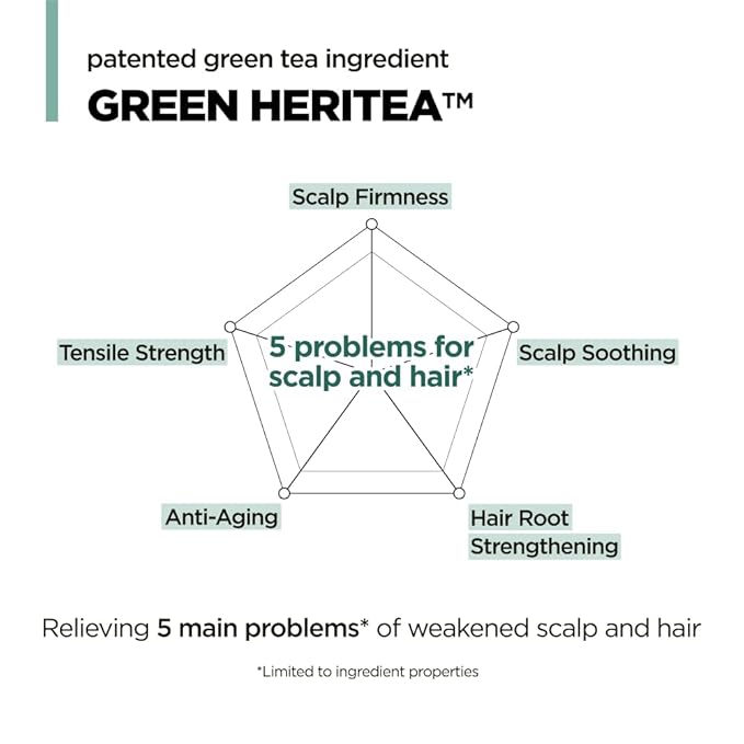 AMOS PROFESSIONAL The Green Tea Shampoo Refresh for Thinning Hair, Korean Shampoo for Oily Scalp l Deep Cleans, Strengthening Hair, All Hair Types, 16.9 fl.oz-VivaGrace Women