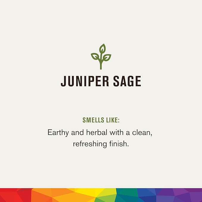 Every Man Jack Hydrating Body Wash for all skin types - Juniper Sage fragrance - Naturally Derived Ingredients - Cleanse, Nourish, and Hydrate Skin -Paraben Free, Phthalate Free, Dye Free-13.5oz - 2pk-VivaGrace Women