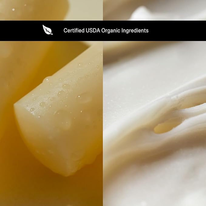 HIGHR Organic Vanilla Butter Hydrating Lip Balm - Nourishing Lip Care for Youthful and Smoother Lips, Lip Moisturizer for Dry and Cracked Lips - All Natural Treatment Perfect for Women on the Go-VivaGrace Women