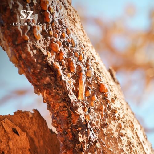 5-Year Aged Myrrh Premium Essential Oil – Rich, Earthy Aroma | Pure & Natural for Aromatherapy & Wellness - Therapeutic Grade & Vegan - 100% Pure and Natural - Undiluted - 0.17 fl oz.-VivaGrace Women