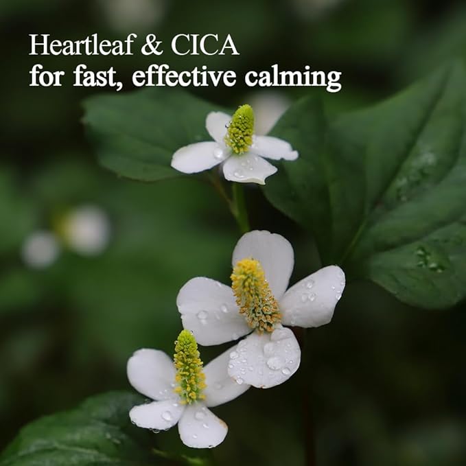 Pyunkang Yul PKY Calming Relief Gel Wash Off Pack 100g, Soothing & Refreshing Gel Mask for Sensitive Skin-VivaGrace Women