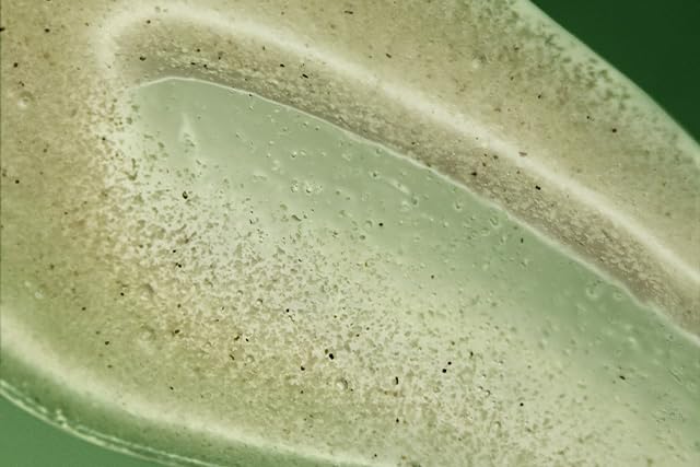 Aesop Geranium Leaf Exfoliating Body Scrub | Smooth, Soft, Hydrated Skin | 6.2 oz / 180mL-VivaGrace Women