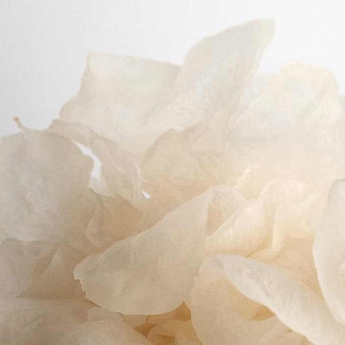 SUPEREGG Phyto Bounce Eye Contour Solution: For vibrancy and restoration. Concentrated solution cream with Tremella Mushroom and Peptides. 15ML / 0.5 FL OZ-VivaGrace Women