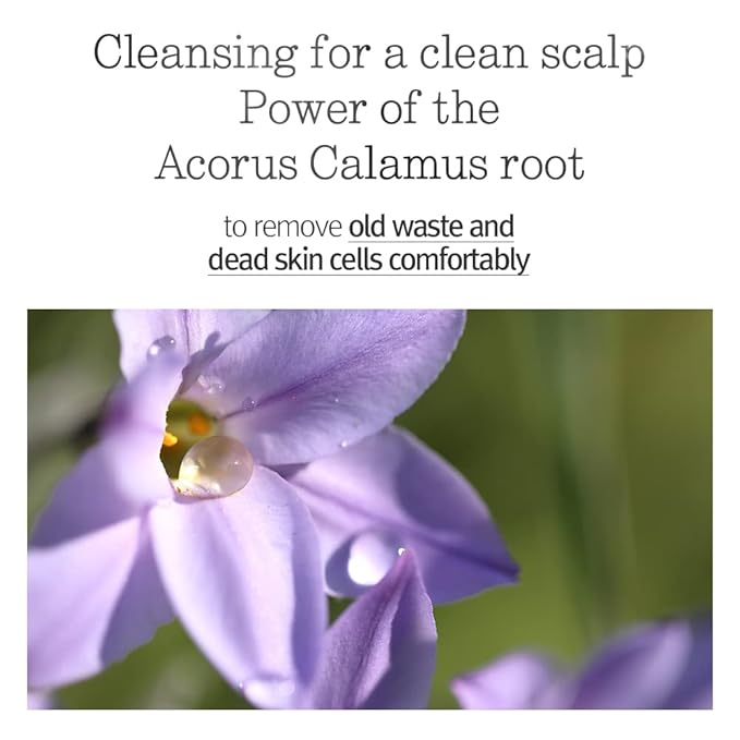 PYUNKANG YUL Hair&Body Travel Kit | Shampoo, Conditioner, Body Wash, Lotion, Spa Kit, 4 items | Low pH, Moisturizing, Soothing, Refreshing, Fragrance Free | Korean Skin Care | 3.38 Fl.Oz. x 4ea-VivaGrace Women