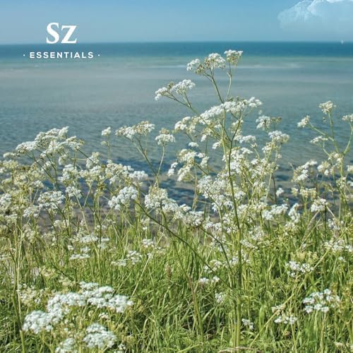 Blue Yarrow Essential Oil – 100% Pure – Calming & Grounding – Deep Blue Steam-Distilled Oil from Achillea millefolium – Aromatherapy, Self-Care & Natural Perfumery – 0.22 fl oz (6.5 mL)-VivaGrace Women