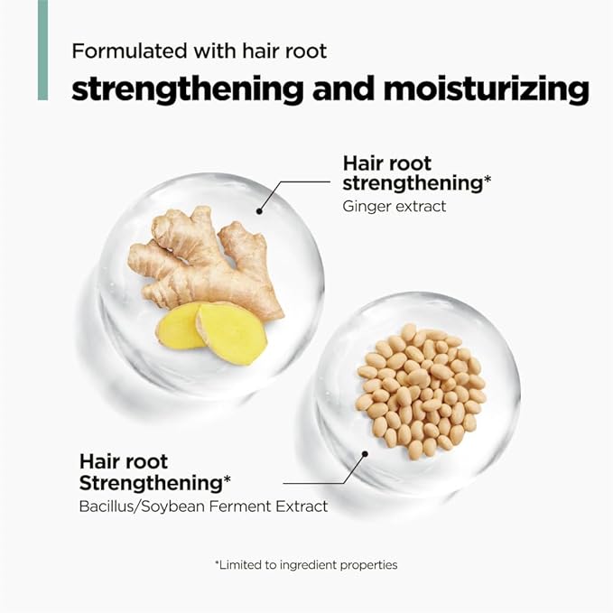 AMOS PROFESSIONAL The Green Tea Shampoo Refresh for Thinning Hair, Korean Shampoo for Oily Scalp l Deep Cleans, Strengthening Hair, All Hair Types, 16.9 fl.oz-VivaGrace Women