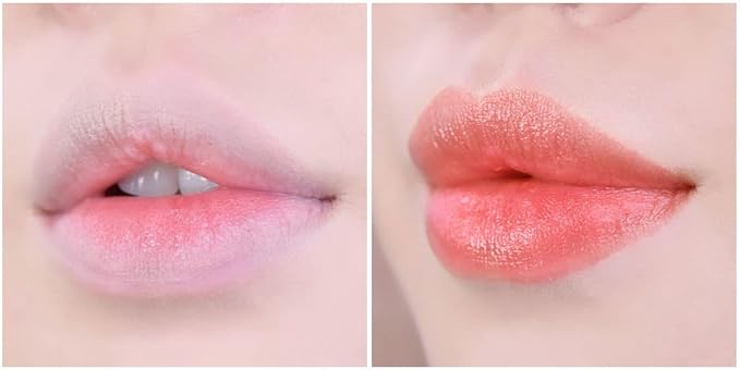 Moisture Tint Lip Balm-Vegetable oil, Shea butter, Avocado Oil-Long-lasting colors,Lip Repair,Dry Lip Treatment-Moisturizing Lip Care 0.12oz. (Coral)-VivaGrace Women