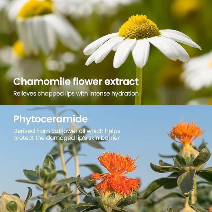 beplain Chamomile Intense Moisturizing Lip balm (0.13oz, 3.6g) | Dual core Lip moisturizer for dry, cracked, sensitive lips | Natural Daily Lip Care-VivaGrace Women