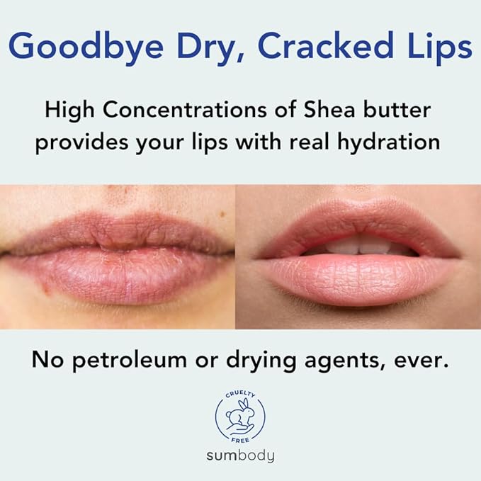 Lip Balm Beeswax Gift Set -Assorted Flavors, Shea & Coconut Butters Nourishing Soothing Lip Moisturizer for Dry Cracked Chapped Lips, Made in USA 100% Natural Ingredients, for women Men kids-VivaGrace Women