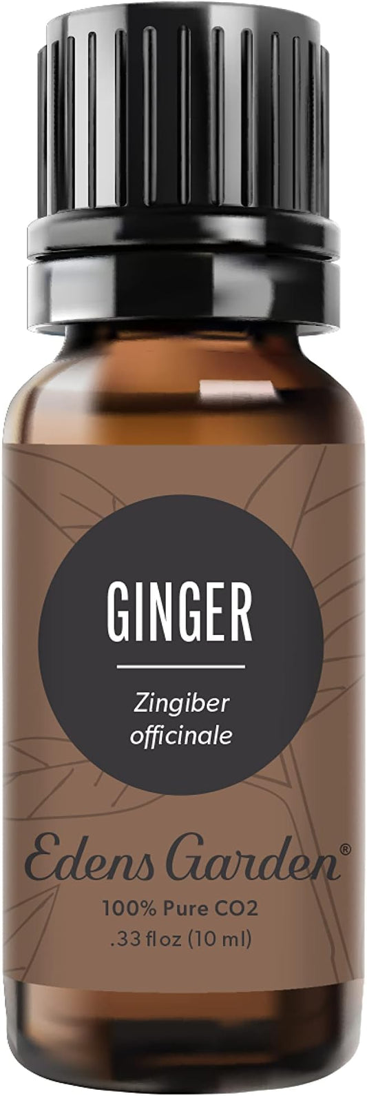 Edens Garden Ginger CO2 Essential Oil- 100% Pure Premium Grade, Undiluted, Natural, Therapeutic, Aromatherapy, The Best for Diffuser, Candle, Laundry, Humidifiers 10 ml (.33 fl oz)-VivaGrace Women