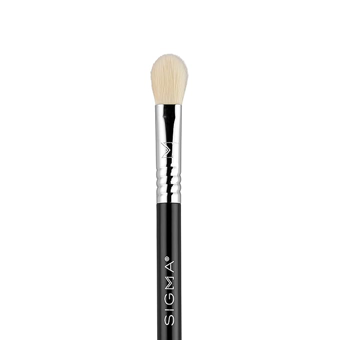 Sigma Beauty Travel Essential Trio - Makeup Brush Set for Foundation Powder Eyeshadow - 3 Tool Brushes with Brush Tin Holder - Skin Safe, Vegan Makeup Brushes for Travel - Black-VivaGrace Women