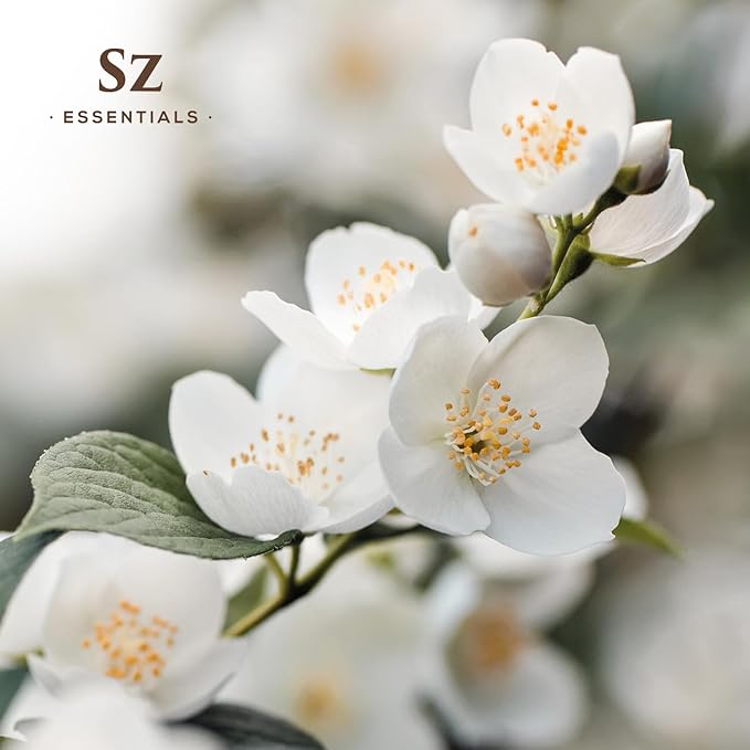 Jasmine Absolute Essential Oil – 100% Pure & Undiluted – 4 Jasminum Species – Divine Floral & Exotic Scent! – Aromatherapy & Natural Perfumery - Therapeutic Grade & Vegan – 0.17oz (5mL)-VivaGrace Women