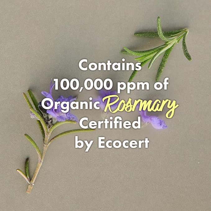 RATED GREEN Cold Brew Rosemary Balancing Scalp Pack w. Charcoal | Detoxifying and Deep Conditioning Care For Oily, Flaky Scalp | Silicone-Free, Korean Vegan Formula | 1.69 fl oz (Pack of 5)-VivaGrace Women