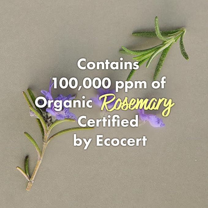 RATED GREEN Cold Brew Rosemary Balancing Scalp Pack w. Charcoal | Rosemary, Charcoal | Detoxifying and Deep Conditioning Care For Oily, Flaky Scalp | Silicone-Free, Korean Vegan Formula | 6.76 Fl. Oz-VivaGrace Women