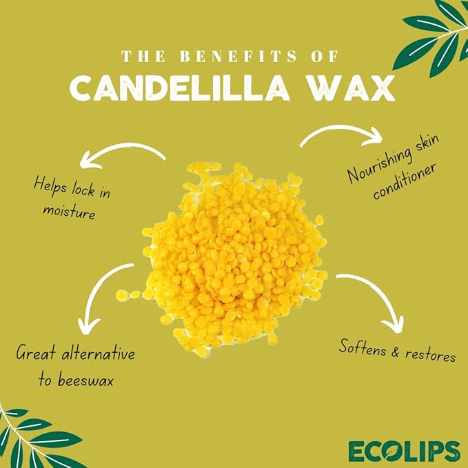 Eco Lips Bee Free Variety Pack Vegan Lip Balm | Candelilla Wax, Cocoa Butter & Coconut Oil Lip Care. Soothe & Moisturize Dry, Chapped Lips - 100% Plastic-Free Plant Pod Packaging - Made in USA-VivaGrace Women