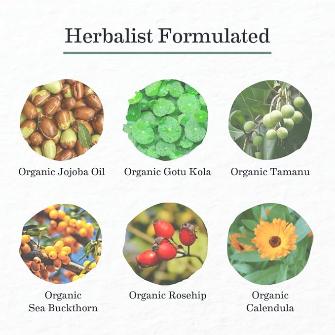 Earth Mama Organic Skin & Scar Balm |C-Section Recovery Skin Care, Pregnancy Stretch Mark Scar Cream with Organic Jojoba Oil, Tamanu Oil & Gotu Kola (2-Pack)-VivaGrace Women