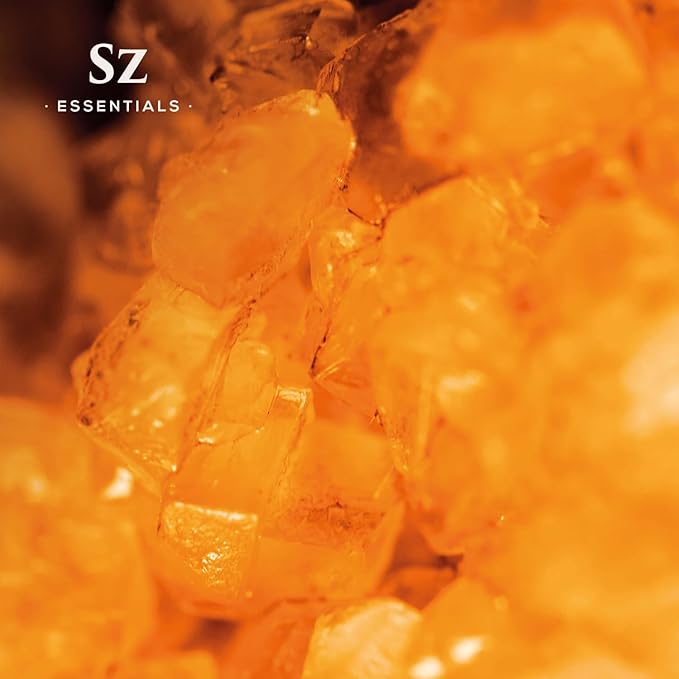 Amber 100% Pure, Essential Undiluted Oil - Extracted from Amber Resin - Rich & Floral Scent, with Smoky Overtones - Therapeutic Grade & Vegan - 0.17oz (5ml)-VivaGrace Women