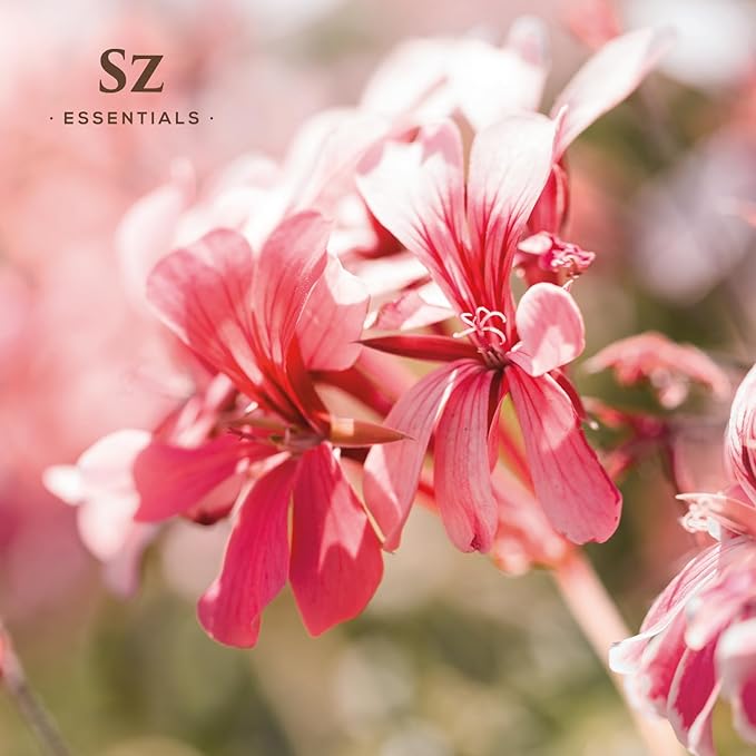 High Altitude Geranium Essential Oil – 100% Pure & Natural, Grown in The High-Altitude – Aromatherapy, Home Use – Therapeutic Grade & Vegan – 5 mL-VivaGrace Women