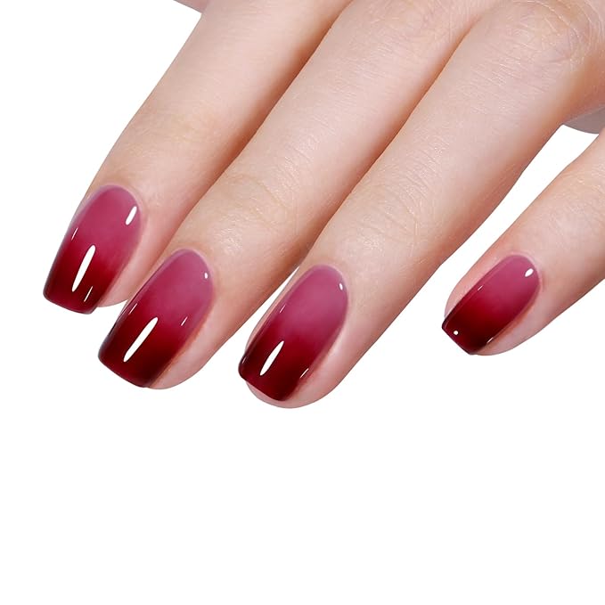 AILLSA Burgundy Red Gel Nail Polish Set Nude Jelly Pink Gel Polish with Base and Top Coat, Wine Mauve Neutral Gel Polish Kit Soak Off U V French Manicure Starter DIY at Home