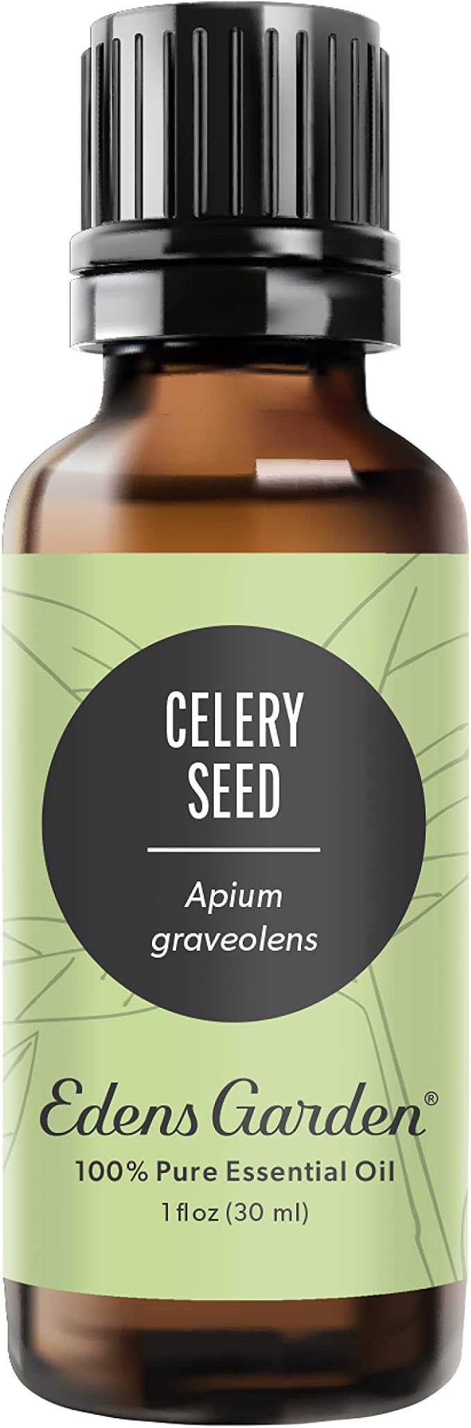 Edens Garden Celery Seed Essential Oil- 100% Pure Premium Grade, Undiluted, Natural, Therapeutic, Aromatherapy, The Best for Diffuser, Skin, Candle, Laundry 30 ml (1 fl oz)-VivaGrace Women