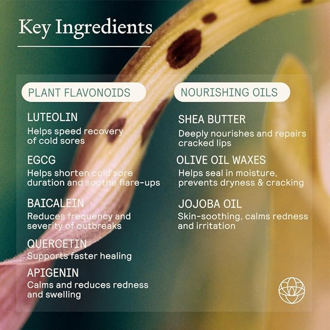 Lip Health Balm - Daily Cold Sore Relief & Recovery - Powered by 5 Plant Flavonoids & XDF Technology - Lightweight Hydrating Barrier Support for Lips - Soothing, Nurturing Formula, 5g-VivaGrace Women