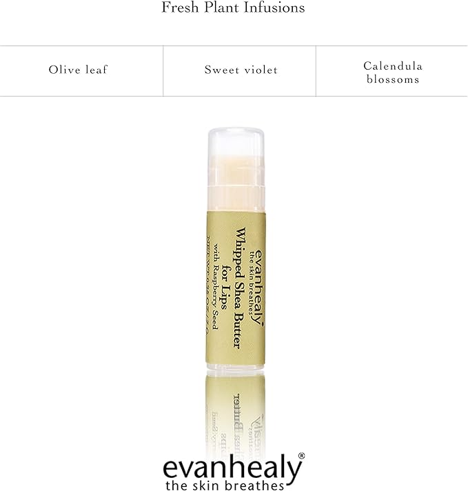 evanhealy Whipped Shea Butter for Lips | Organic Red Raspberry Seed Oil, Beeswax, & Argan Oil | Moisturizing Lip Balm (3 Pack)-VivaGrace Women