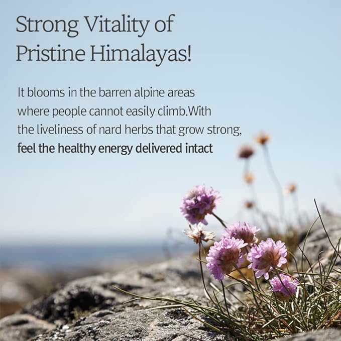 NARD Shampoo and Conditioner Set - Scalp Vitality, Soft Cleansing(Containing Argan Olive Jojoba Macadamia Sunflower Oil, Protein, and Amino Acids) - 33.8 oz Mother's day gift for mom-VivaGrace Women