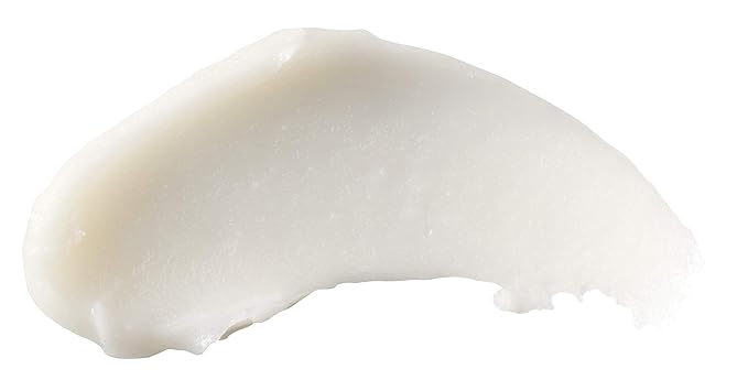 Burts Bees Rosemary and Lemon Lip Butter Unisex Lip Balm 0.4 oz-VivaGrace Women