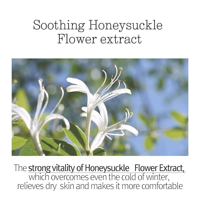 Pyunkang Yul PKY Sleeping Mask for Creating Moisture Barrier during Night, Ceramide and Hyaluronic Acid for Skin Hydration, Zero Irritation, Korean Skincare (4.05 Fl. Oz, 120ml)-VivaGrace Women