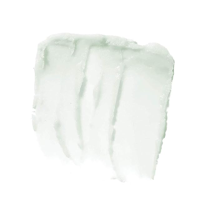 e.l.f. Lip Exfoliator, Mint Maniac, 0.11 oz. (82512)-VivaGrace Women