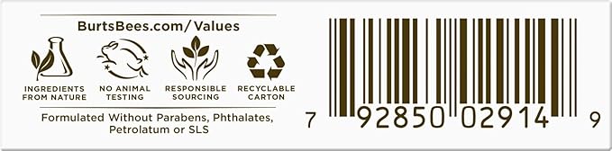 Burt's Bees Medicated Lip Balm, With Eucalyptus Oil and Menthol, Tint-Free, Natural Origin Lip Care, 2 Tubes, 0.15 oz.-VivaGrace Women