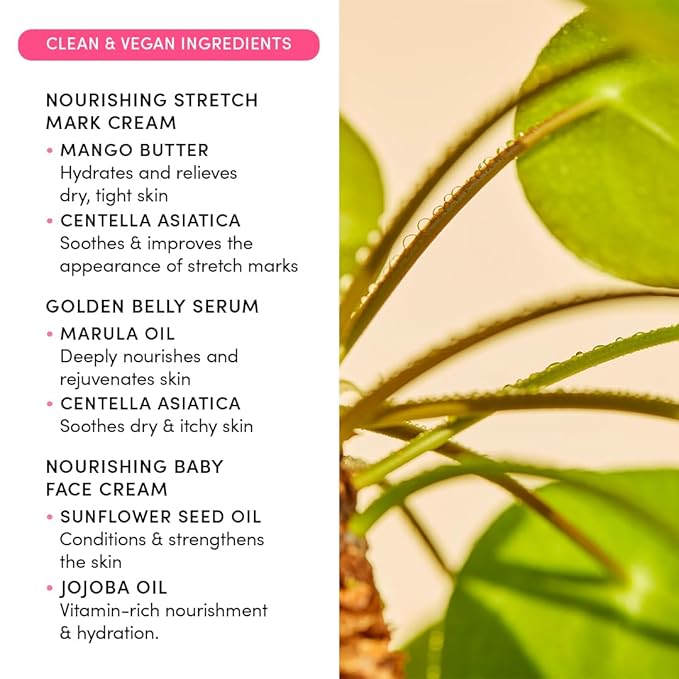 Evereden Mama & Baby Discovery Set - Dermatologist-Developed Clean & Vegan Maternity Skin Care Bundle - Stretch Mark Cream, Belly Serum, & Nourishing Baby Face Cream - Postpartum Gifts for New Mom-VivaGrace Women