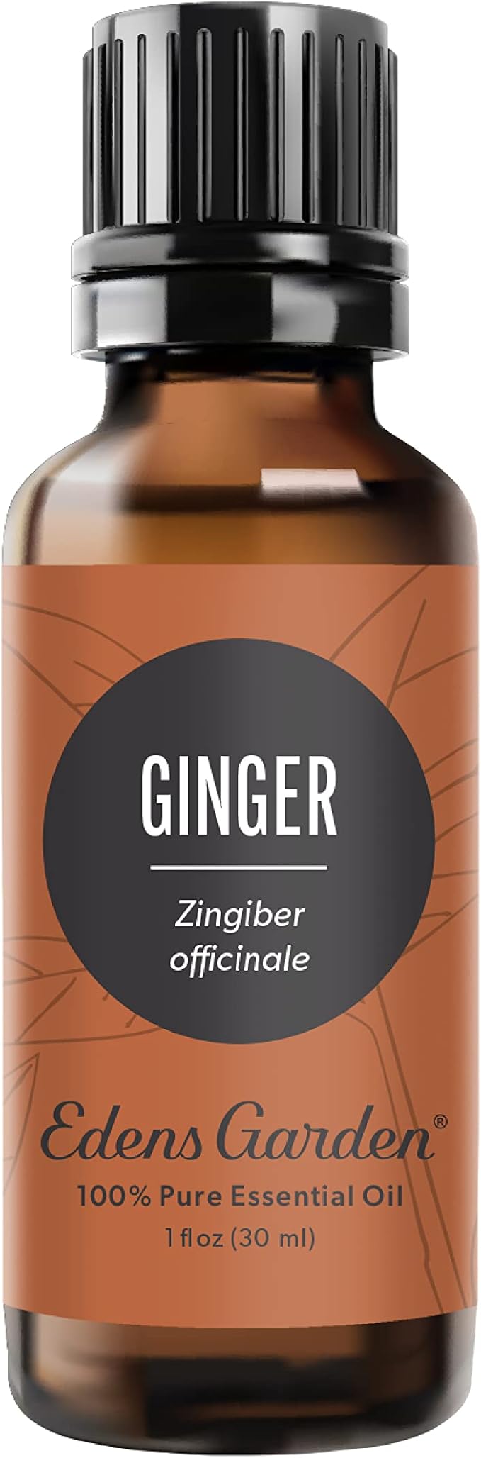 Edens Garden Ginger Essential Oil- 100% Pure Premium Grade, Undiluted, Natural, Therapeutic, Aromatherapy, The Best for Diffuser, Skin, Candle, Kid Safe 30 ml (1 fl oz)-VivaGrace Women